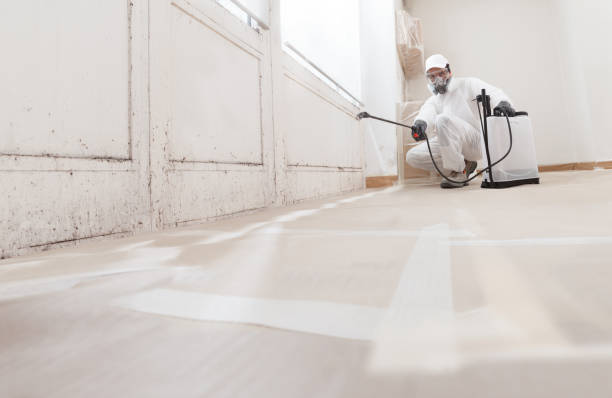24/7 Emergency Attic Mold Remediation experts in Lowell, MA